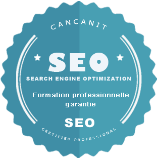 iboo-formation-seo-angers.png